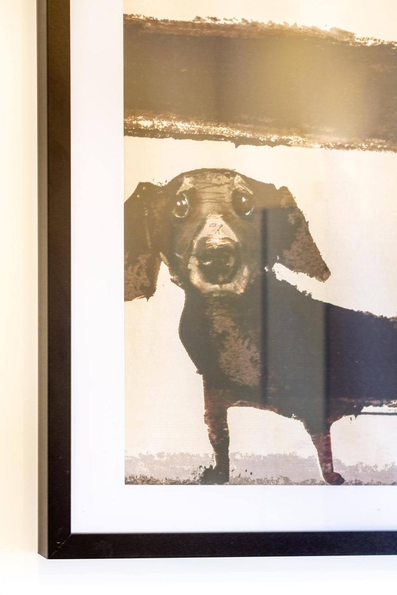 Central City Charm: Pet-Friendly Studio Christchurch Exterior foto